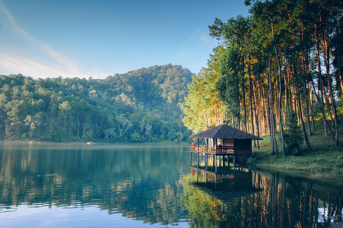 Jezero, borovicový les, čerstvý vzduch, hory, voda