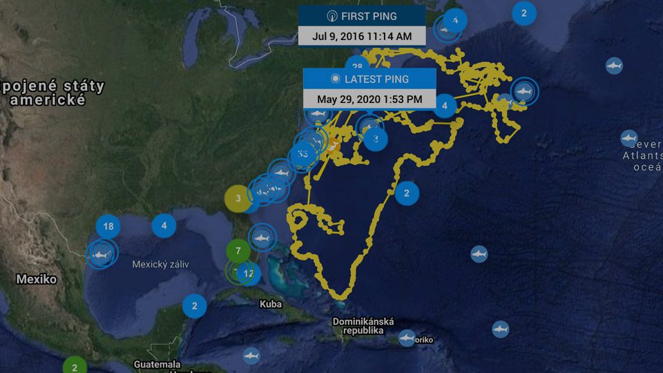 map-usa-shark-tracking-animal-track
